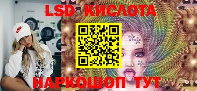 индика Гусев