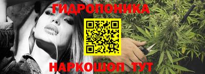 индика Гусев
