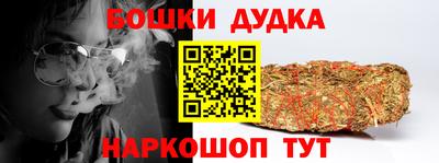 индика Гусев