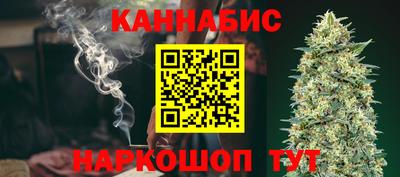 индика Гусев