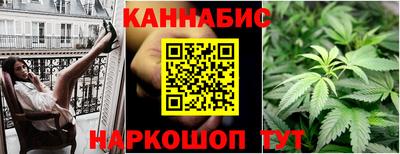 индика Гусев