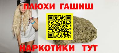 индика Гусев