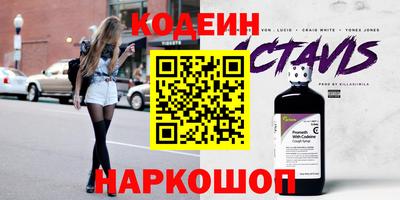 индика Гусев