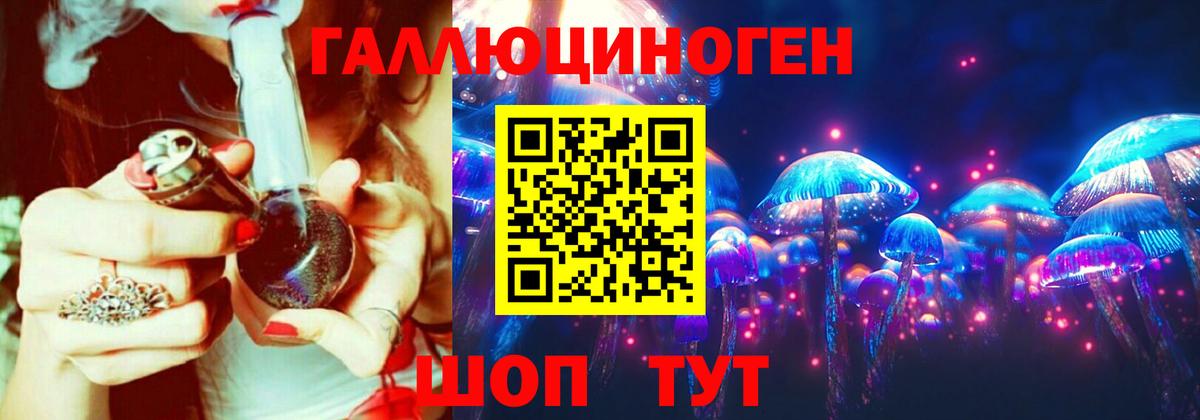 Галлюциногенные грибы Psilocybe Наро-Фоминск