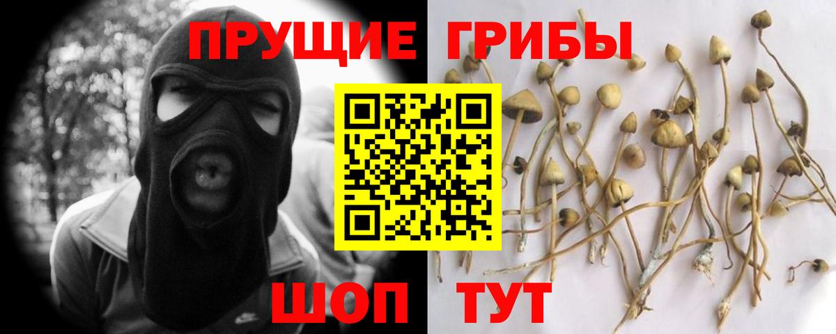 Галлюциногенные грибы Psilocybine cubensis  Вход с VPN  Галлюциногенные грибы GOLDEN TEACHER  Наро-Фоминск 